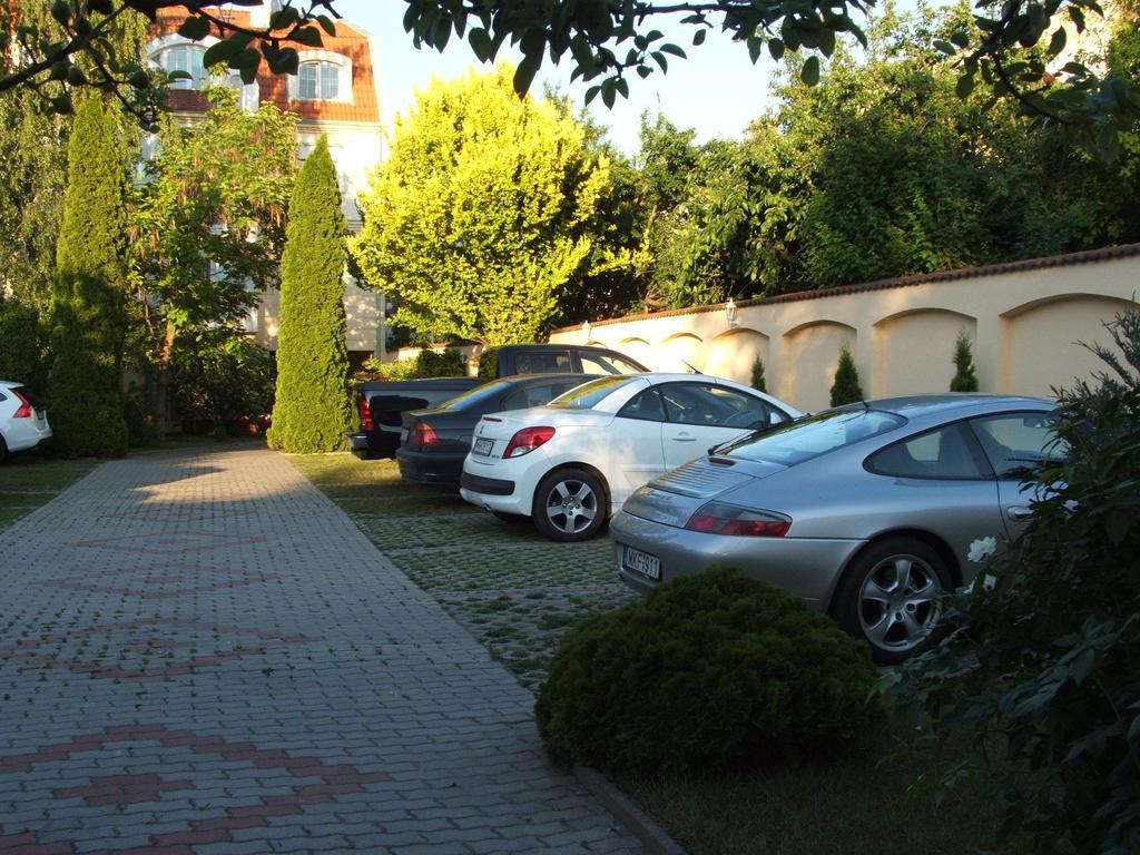 Korona Panzio *